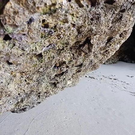 Magnolia Mar